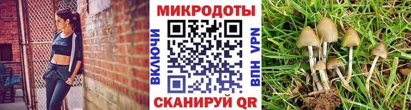 Галлюциногенные грибы Cubensis  где купить   Лосино-Петровский 